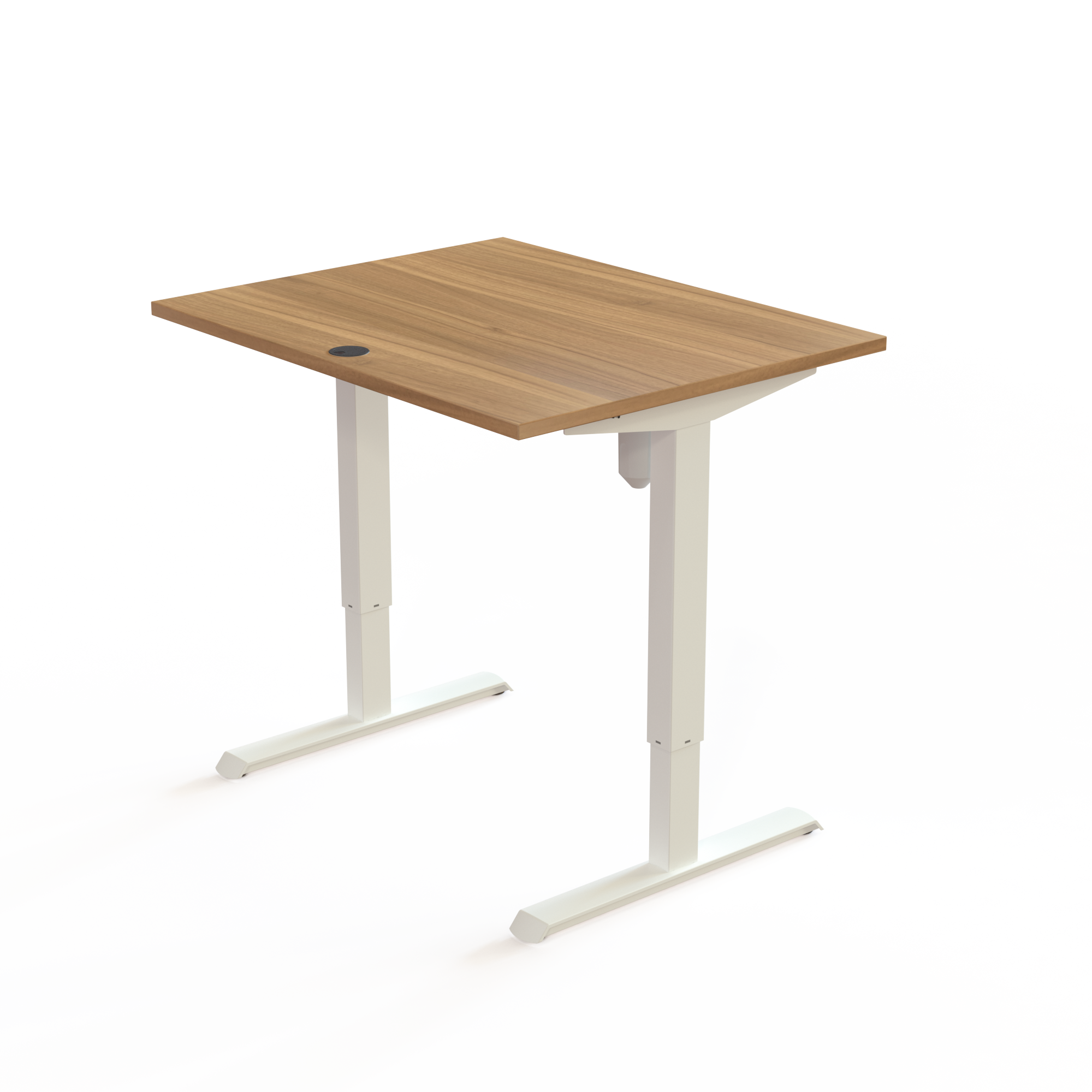 Schreibtisch steh/sitz | 100x80 cm | Nussbaum mit weißem Gestell