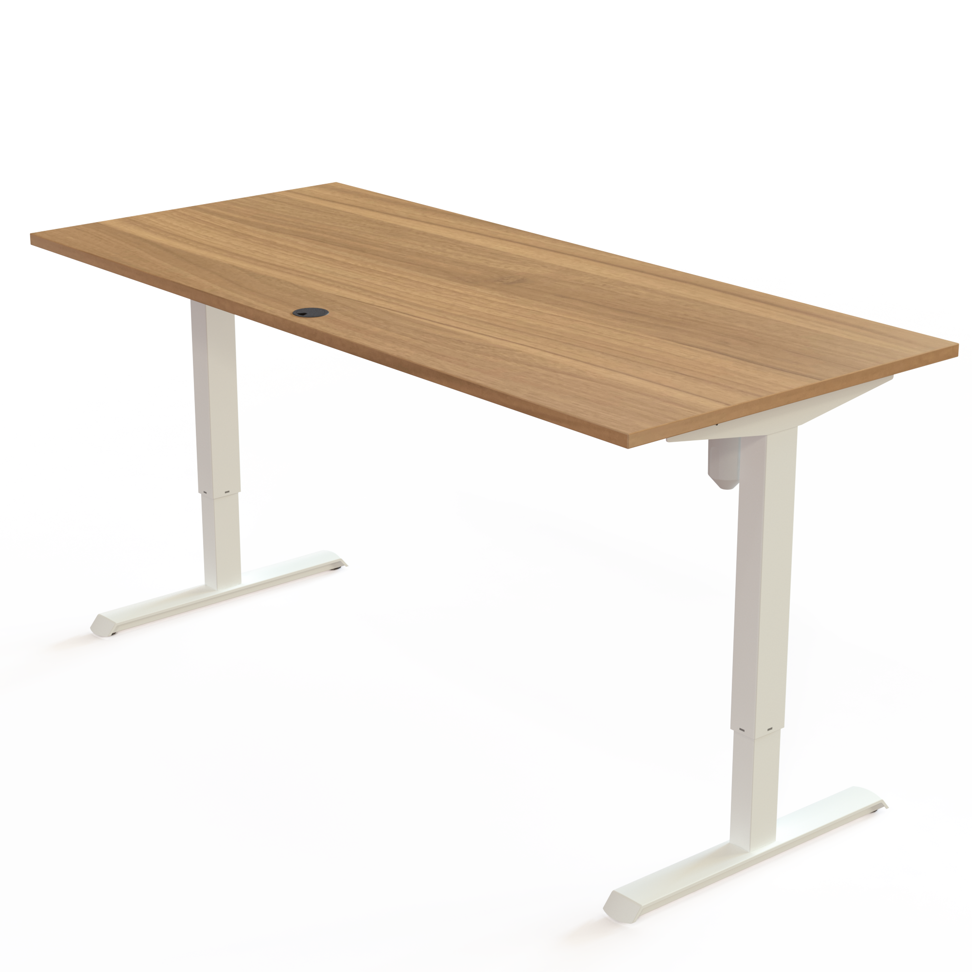 Schreibtisch steh/sitz | 180x80 cm | Nussbaum mit weißem Gestell