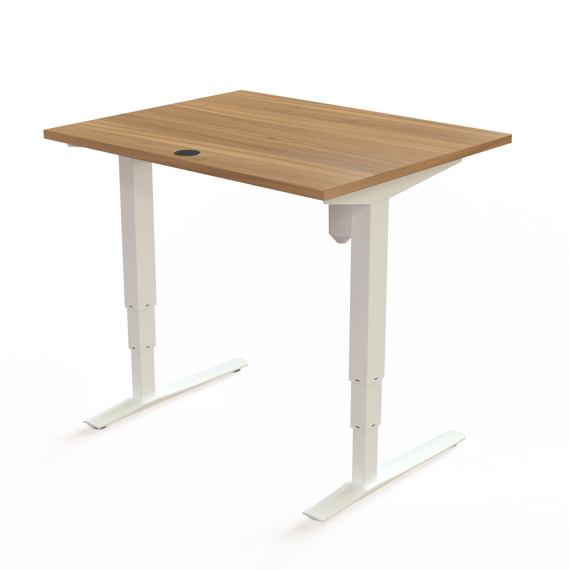Schreibtisch steh/sitz | 100x80 cm | Nussbaum mit weißem Gestell