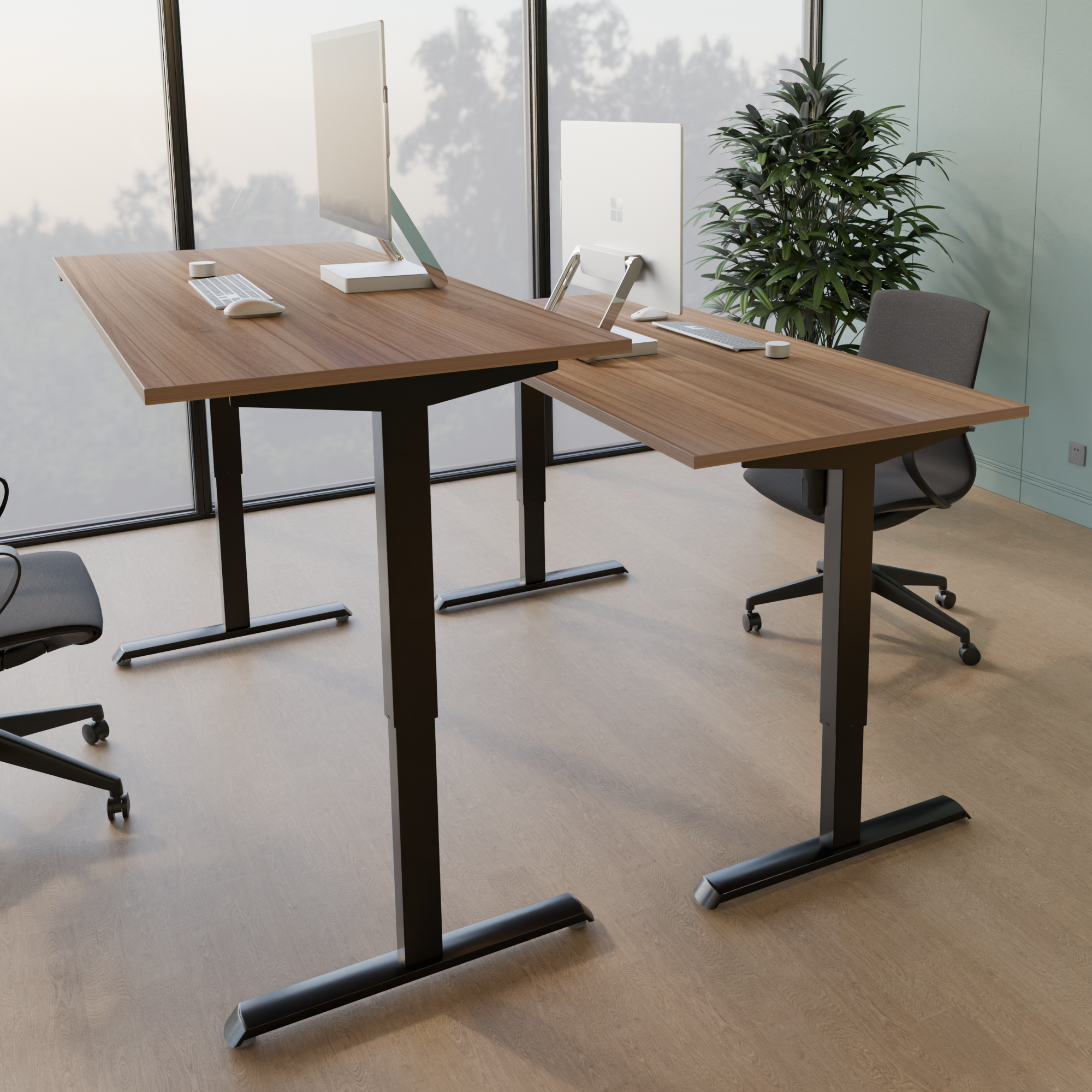 Schreibtisch steh/sitz | 120x80 cm | Nussbaum mit schwarzem Gestell
